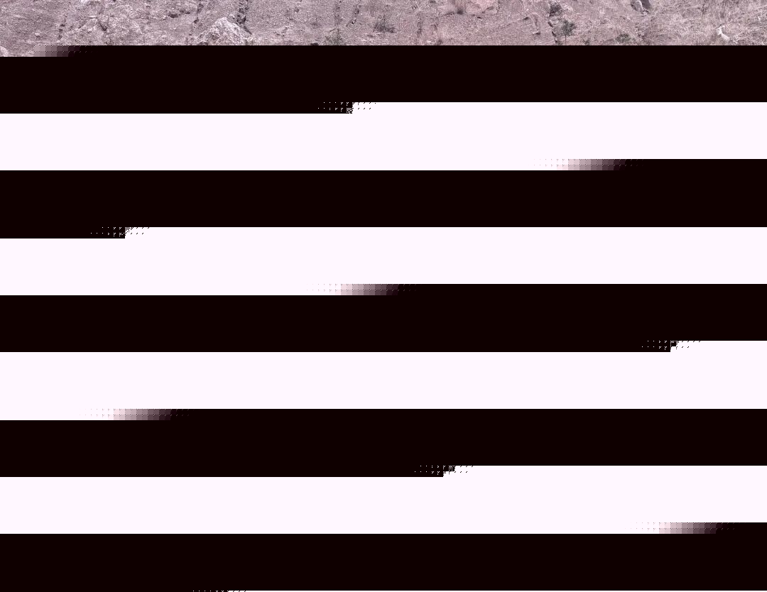 206391231852741971798422868 640.jpg