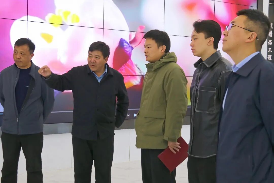 01.jpg