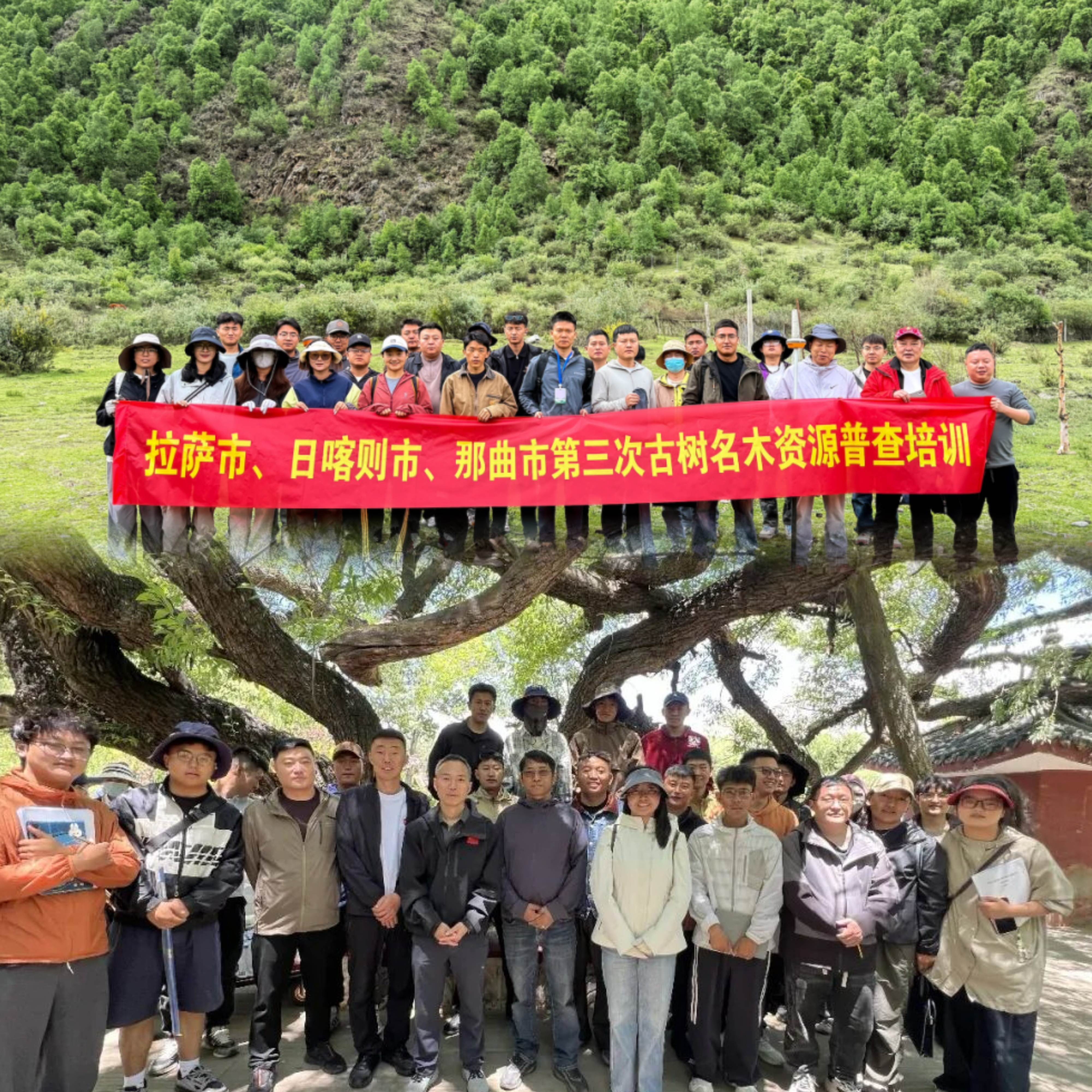 226391770542046366332207618 微信图片_20260622180757.jpg